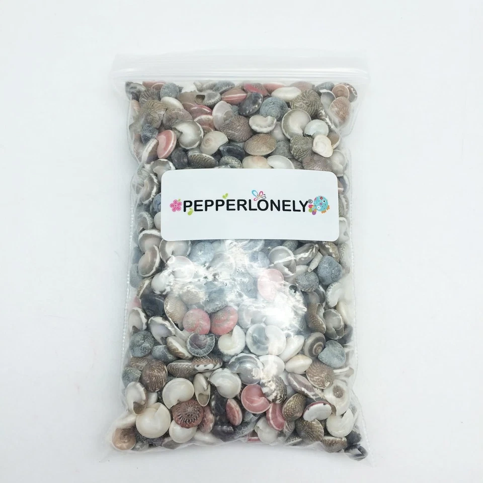 Pink Tiny Pearl Umbonium Button Sea Shells, 8 OZ Shells, 1/2 Inch - Image 4 of 4