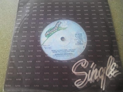 SPRINGER BROTHERS What's A Nice Girl Like You 7'' Elektra 1979 Free UK Postage