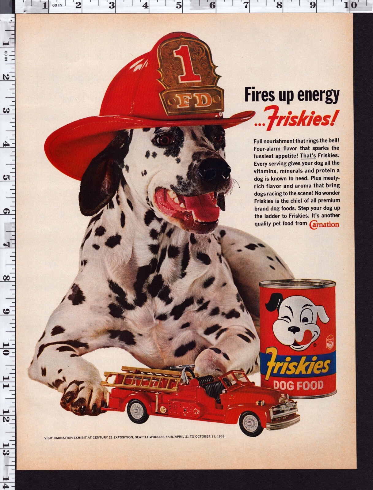 Dalmatian Firetruck