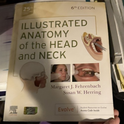 #ad Illustrated Anatomy of the Head and Neck Margaret J. Fehrenbach Susan W. Herring $45.00