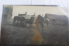Real Photo Farm Barn Horses Postcard Old Vintage Card View Standard Souvenir PC