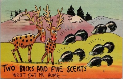 Two Bucks & Five Scents Vintage Linen Cartoon Postcard Free Shipping