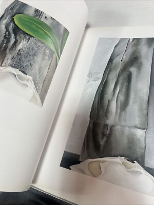 GEORGIA O'KEEFFE THE NEW YORK YEARS BRY & CALLAWAY EDITORS 1991