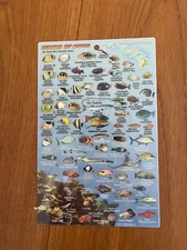 Hawaiian Reef Creatures waterproof card/ guide Maui Laminated Card tutorial