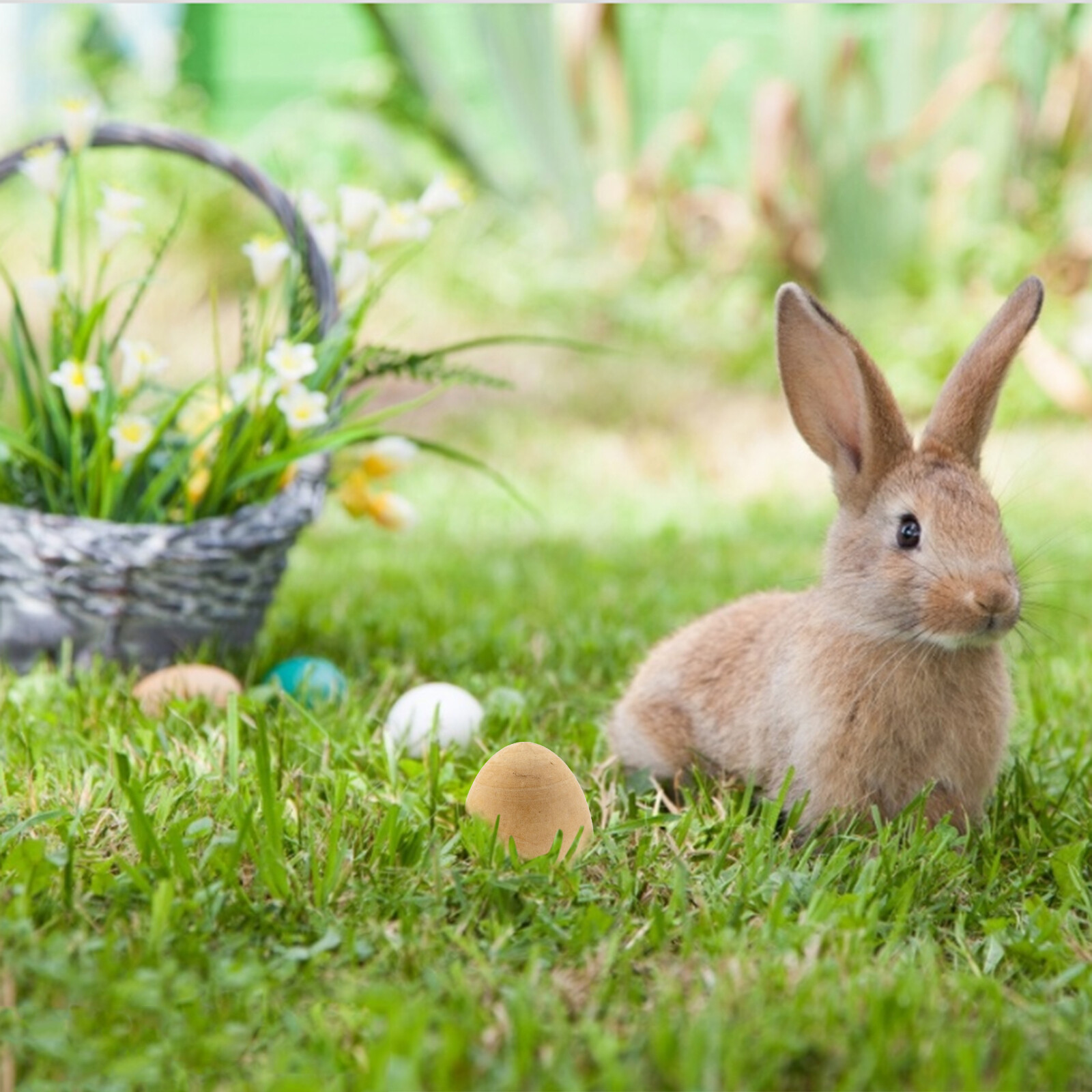 Easter Wooden Eggs 10Pcs Smooth Natural Unfinished Wood Fake Egg Craft