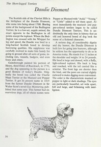 The Dandie Dinmont Terrier - CUSTOM MATTED - Vintage Dog Art Print - "G"