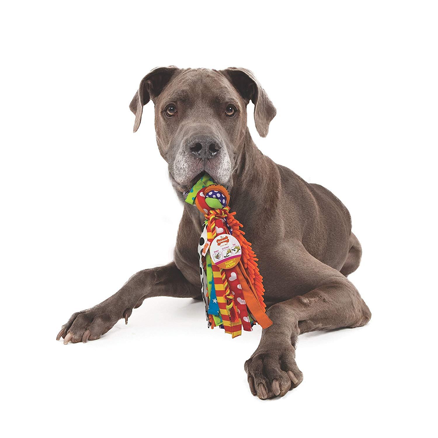 nylabone happy moppy