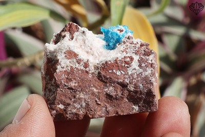 Grell Klein Cavansit Auf Metrix Sockel Heulandit Mineralien 34gm Hart Probe