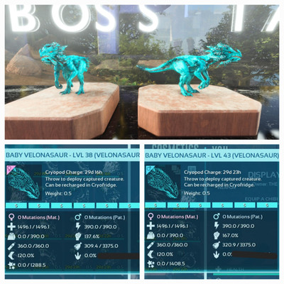 ARK ASA PVE OFFICIAL PAIR BABY VELONASAUR CYAN ID05 EXTINCTION PC/XBOX/PS5