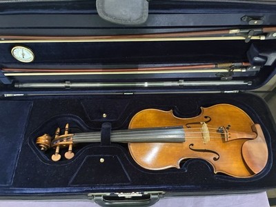 Andreas Eastman Master Professional VL906 Violin Outfit 4/4