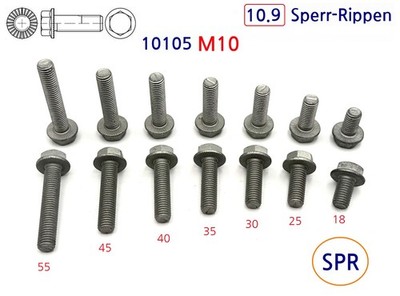 DIN 6921 Flanschschraube M10x16 bis M10x55 mit Sperrzahn SperrRippen 10.9 ZiLa