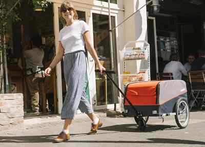 Croozer Cargo Kalle - Fahrradanhänger, Lastenanhänger