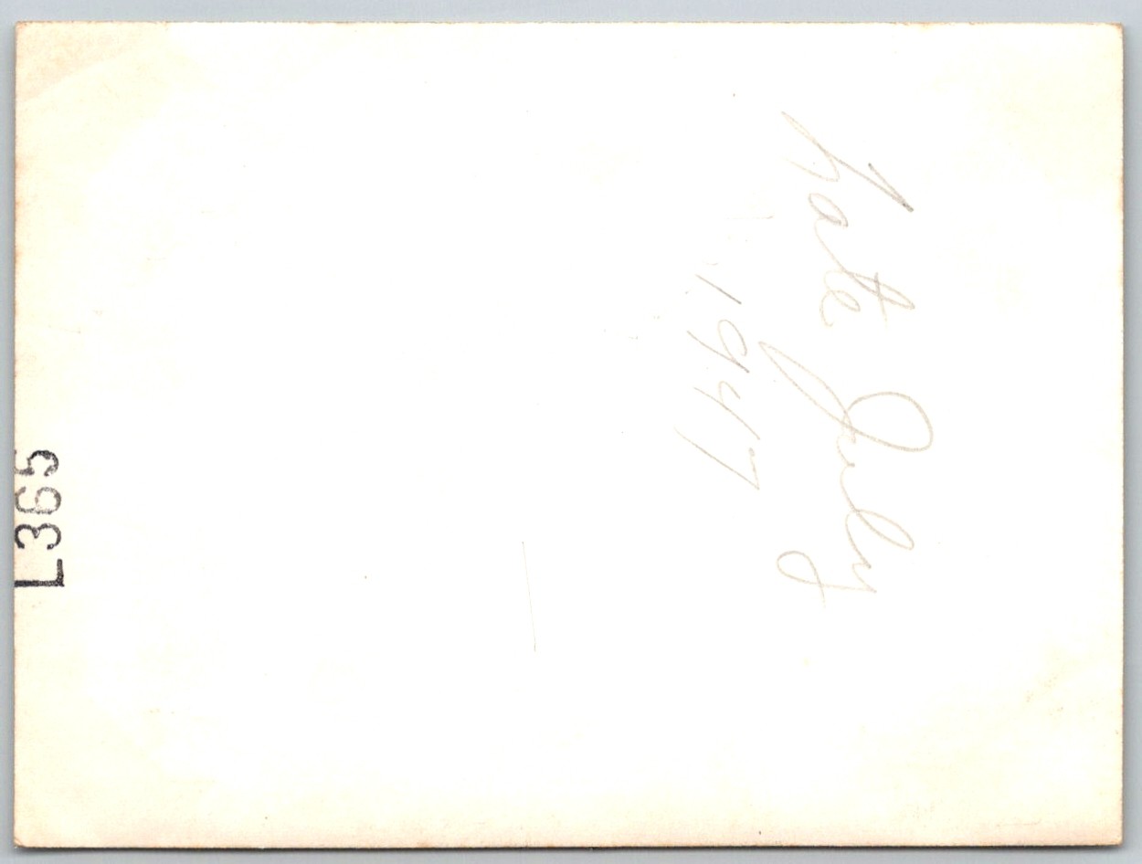 Picture 2
