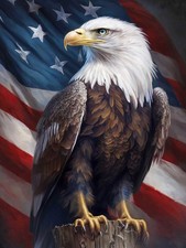 Bimkole 5D Diamond Art Kits for Adults Flag Eagle, 12x16 inches, eagle-0003