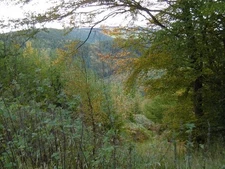Photo 6x4 Down to Darky Dale Bedstone A steep path in Hopton Wood. c2015