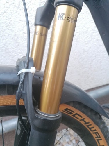 canyon spectral cfr 9.0 Sl - Bild 3 von 11