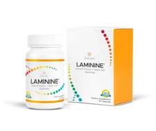 Laminine  by LifePharm 1 bottles x 120 caps EXP 11/27 Original formula USA
