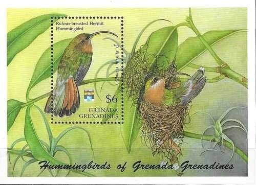 Timbre Oiseaux Colibri Grenade Grenadines BF244 ** (72471ER) - Photo 1/1