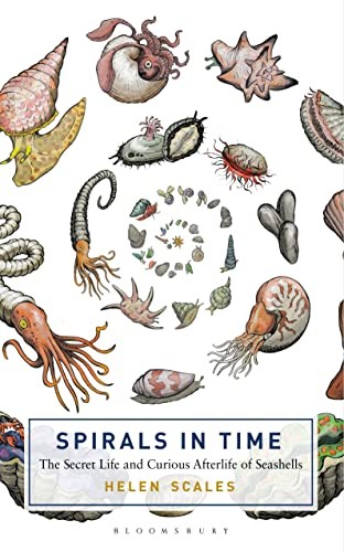 Spirals in Time: The Secret Life and Curious Afterlife of Seashe