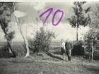 Foto 12 di 14