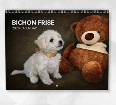 BOYCE PUBLISHING Bichon Frise Calendar 2026: Monthly Wall Calendar with Notes, opens to A3 Size