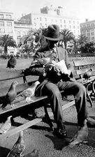 1930 SAN FRANCISCO UNION SQUARE with MAN FEEDING PIGEONS on PARK BENCH~NEGATIVE