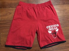 Vintage 90s Chicago Bulls Basketball Shorts USA True Fan Size Medium