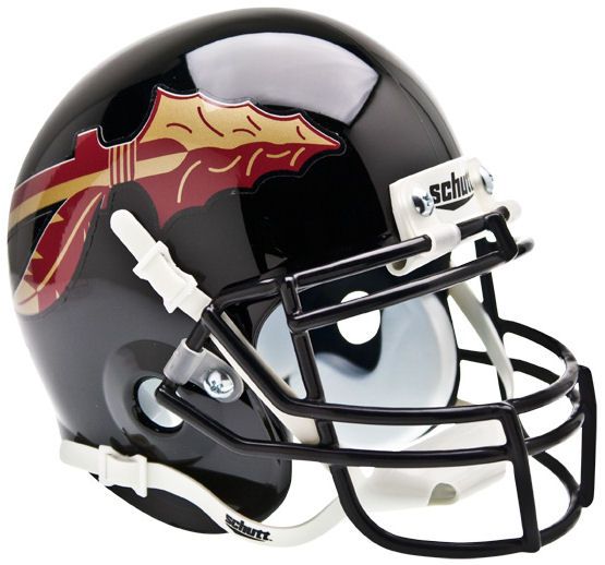 FLORIDA STATE SEMINOLES FSU NCAA Schutt XP Authentic MINI Football