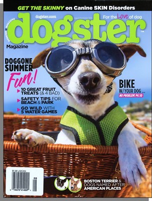 Dogster - 2016, August - Summer Fun, Bike With Your Dog, Canine Skin Disorders