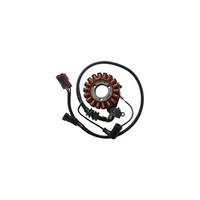 Piaggio Carnaby Cruiser 300 Anlasser SGR 2009-2012 638848