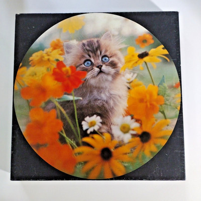 Springbok ''Sitting Pretty'' Circular Jigsaw Puzzle, Cat Kitten, COMPLETE