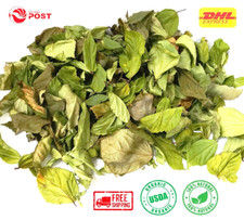 Dried HIBISCUS Leaves GUDHAL leaf Organic Herbs Tea For Healthy Life Hair Care