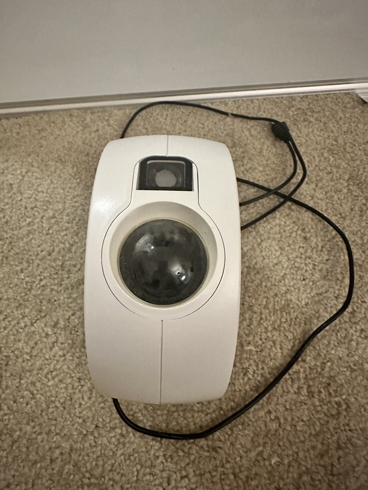 Picture 3 of 3