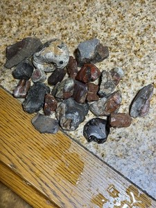 1.36 Pounds Of Polished Utah Rocks Redwood Bone And More
