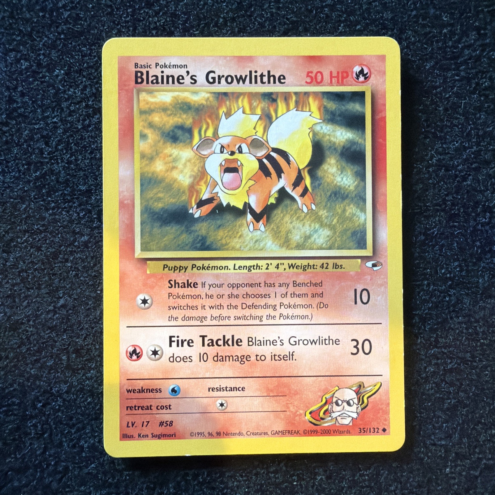 Blaine's Growlithe 35/132 Uncommon Gym Heroes Pokemon Unlimited Near Mint