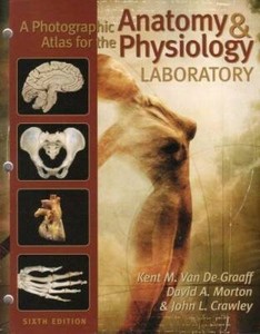 Photographic Atlas for Anatomy and Physiology | eBay