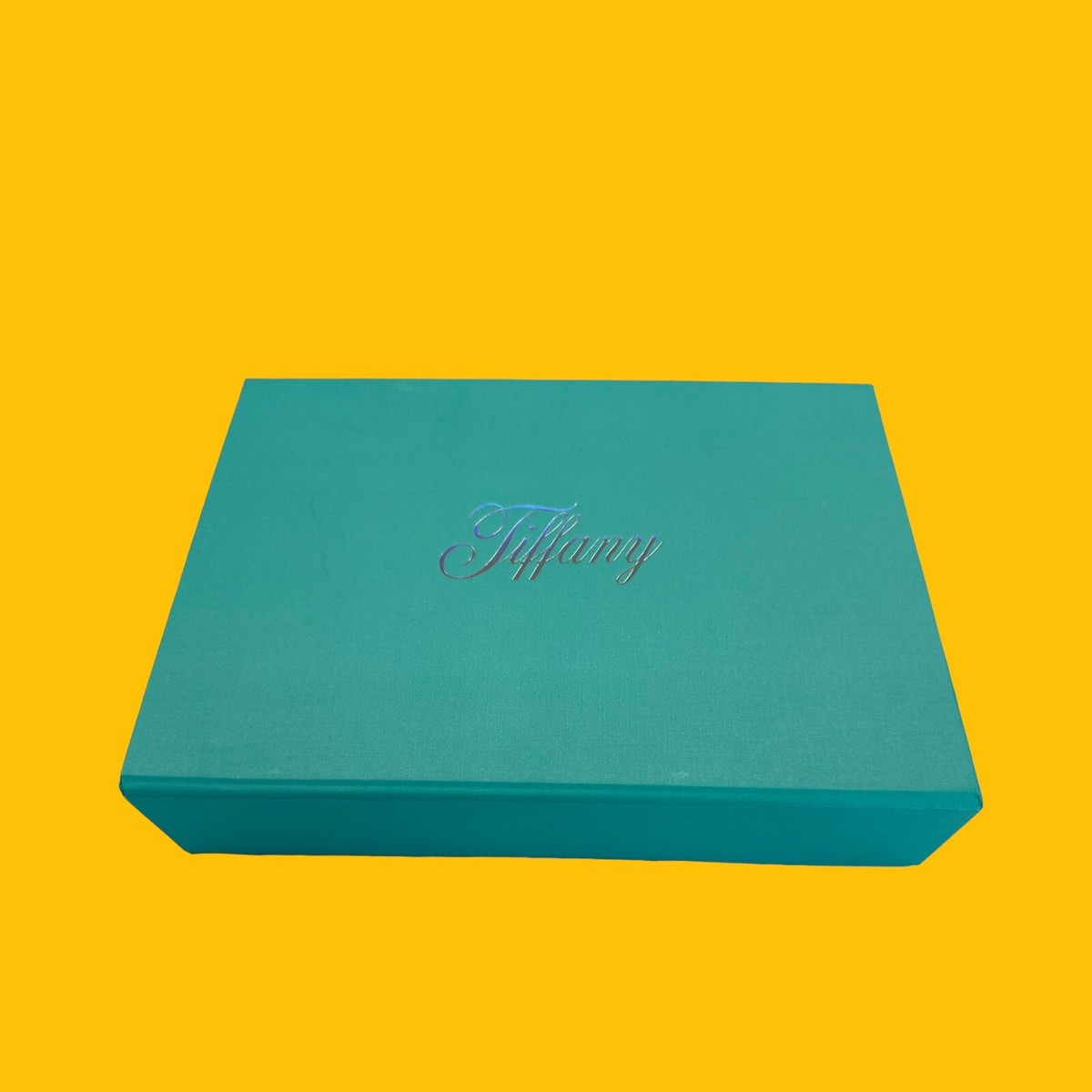 Authentic Tiffany & Co 2023 Blue Book Invitation Shadow Magnetic