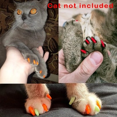 40Pcs/1Set Cat Nail Caps | Cat Nail Covers | Cat Claw Caps with Glue for Cat Cla