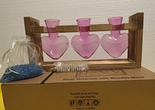 Plant Terrarium Propagation Station