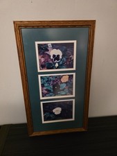Framed Floral Wall Art size 17 1/2 inches by 10 inches
