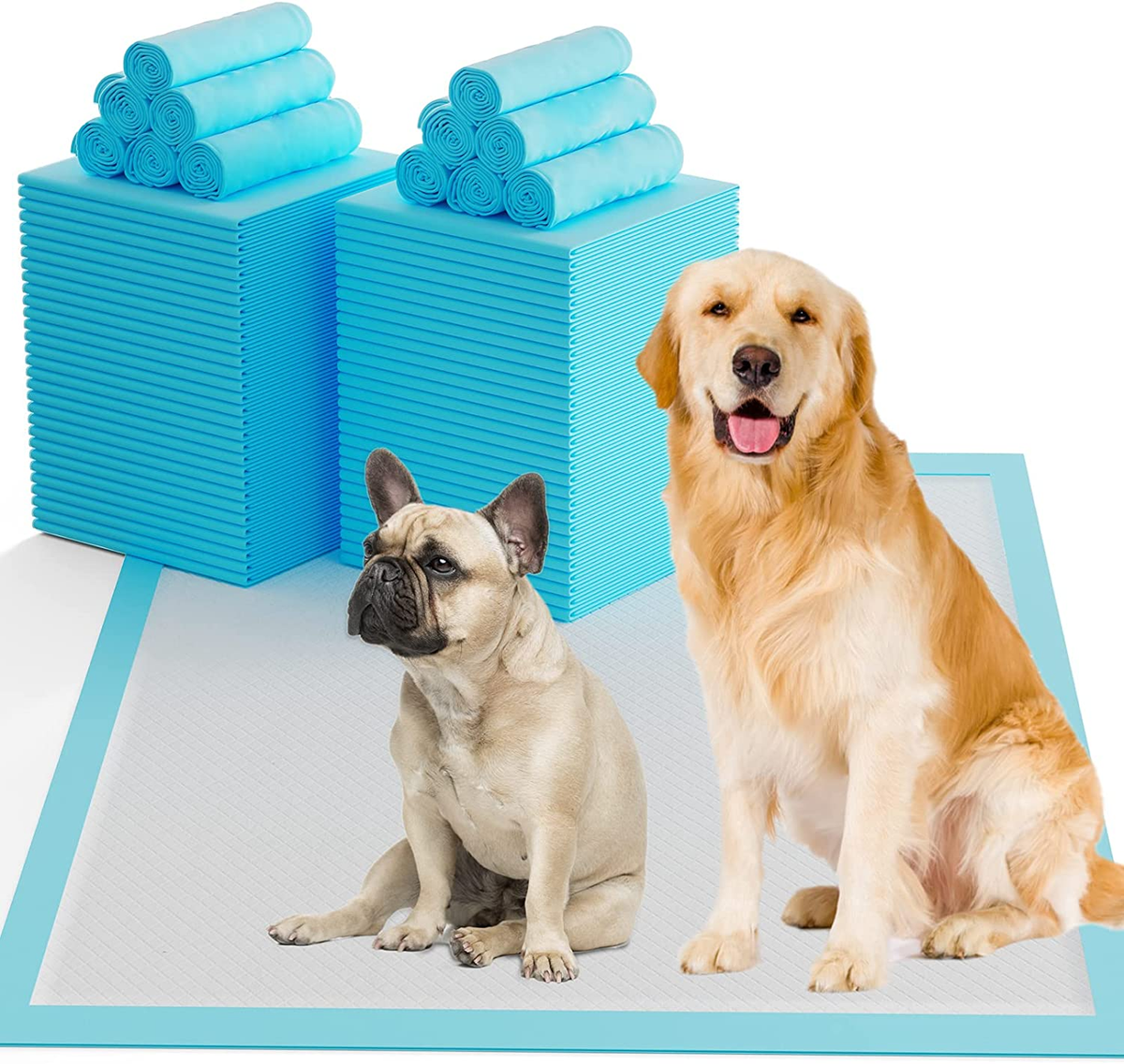 Golden Retriever My Dog Barks At The Tv Pugs Stop Dog Barking At