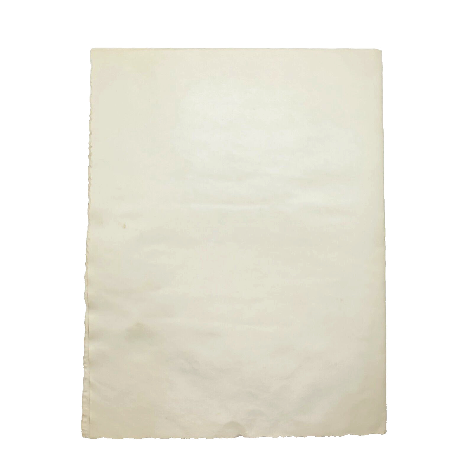 Cowboy and Horse Color Portrait The Seasons Greetings 1950s Christmas Card