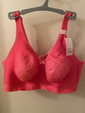 Cacique Goddess Naturally Floral Lace Wireless Unlined Bra Pink 44D