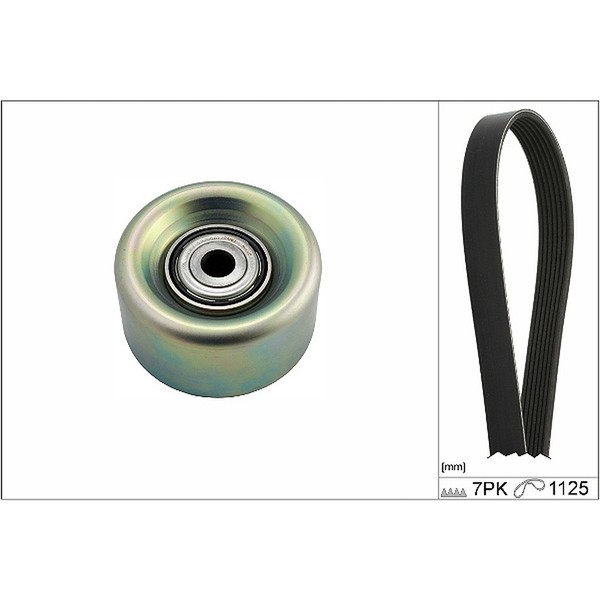 INA Keilrippenriemensatz FüR Nissan Juke (F15) Qashqai I (J10) 1.6 94-117 PS-image