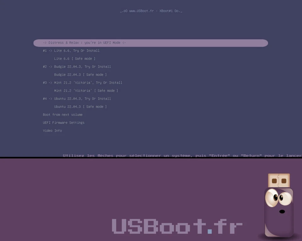 CLÉ USB BOOTABLE LINUX UBUNTU 22.04.3 + MINT 21.2 + LITE 6.6 + BUDGIE 22.04.3 - Photo 2/4