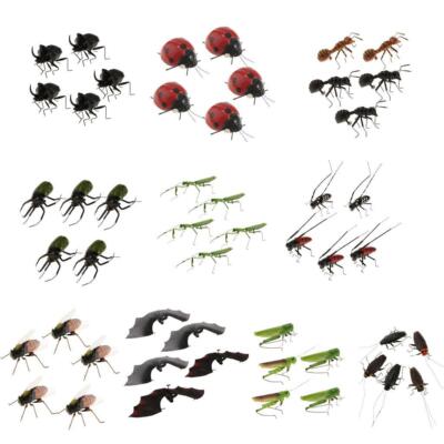 5 Stück Simulation Künstliches Insektenmodell Kinder Lernspielzeug