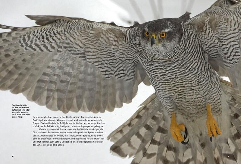 Thumbnail - Entdecke Die Greifvögel | Thomas Schmidt | Mit Großem Greifvogelquiz |