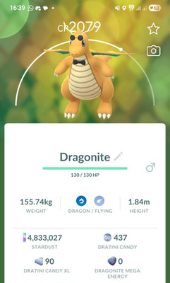 Fashionable Dragonite Pokemon Fast Same Day Go