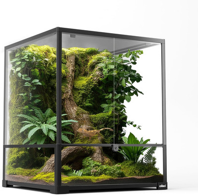 18'' X 18'' X 24'' Glass Reptile Terrarium, Knock-Down Rainforest Reptile Habitat T