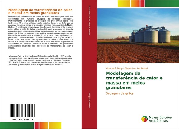 Vitor José Petry (U. A.) | Modelagem Da TransferêNcia De Calor E Massa Em...-image